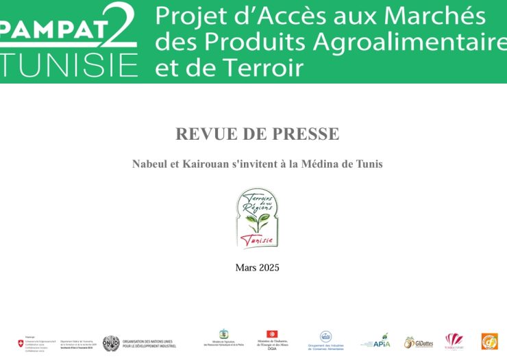 REVUE DE PRESSE NABEUL ET KAIROUAN S’INVITENT A LA MEDINA DE TUNIS MARS 2025