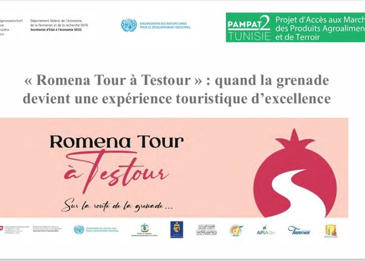 REVUE DE PRESSE « Romena Tour à Testour » : quand la grenade devient une expérience touristique d’excellence Fev26